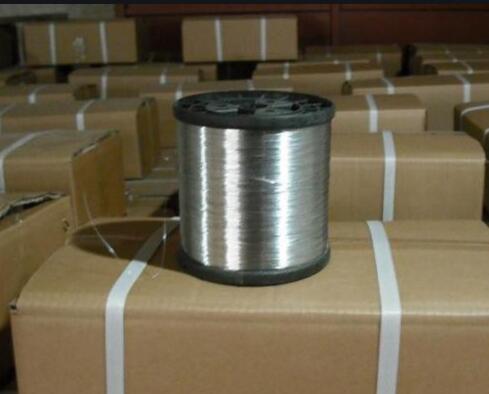 Large-scale Plant Enclosures for Enhanced Growth and Protection of Flora