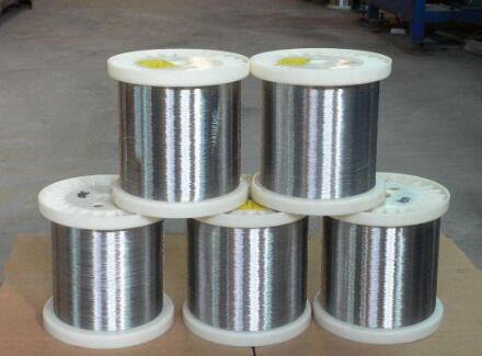 large aviary netting