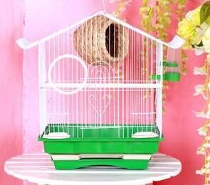 How to choose a cage suitable for a parrot to live in