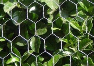 Plastic coated hexagonal mesh