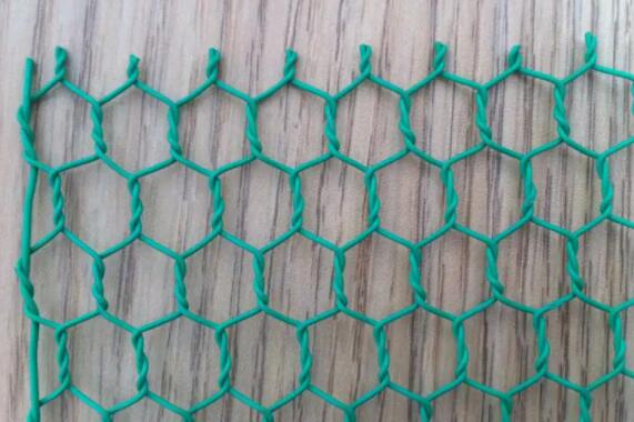 stainless steel insect mesh