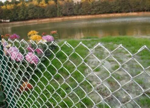 Do you understand the performance of galvanized hook net