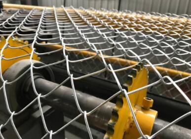 wire mesh bird screen