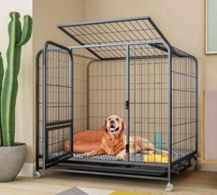 Benefits of a stainless steel pet carrier