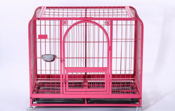 How to choose the right pet carrier for your pet