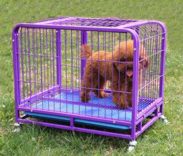 Choose a carrier suitable for your dog