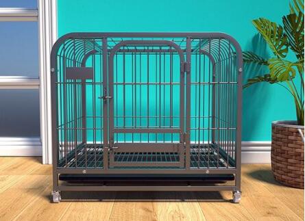 Do you think pet cages are necessary?