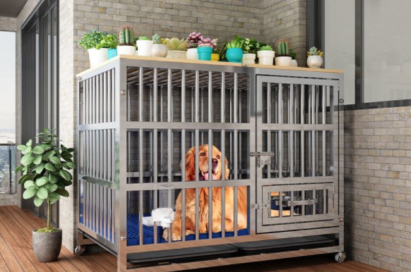 It’s time to choose a quality pet carrier for your pet