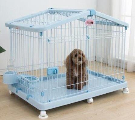 How to choose the right pet carrier