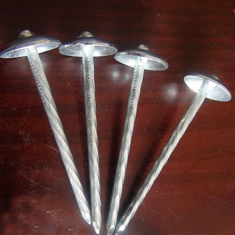 Looking for roofing nails: rustproof, bulk, fast shipping?