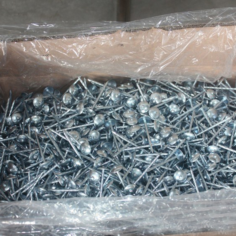 Looking for roofing nails: rustproof, bulk, fast shipping?
