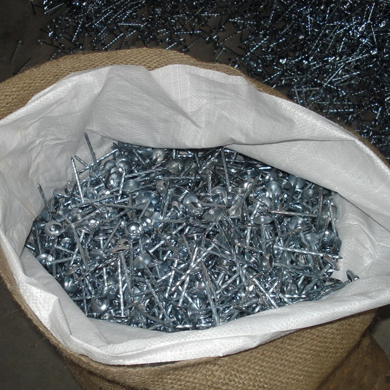 Looking for roofing nails: rustproof, bulk, fast shipping?