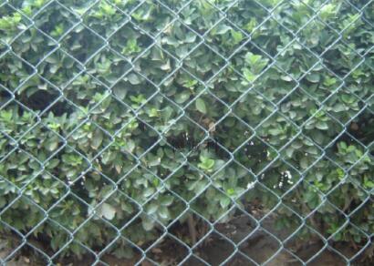 The structure of the hook mesh is permeable in nature