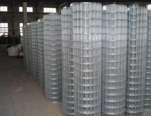 1.2mm Galvanized Wire for Durable and Reliable Fencing Solutions