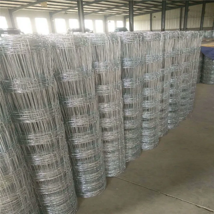 The Growing Demand for Wire Mesh: Key Insights and Suppliers