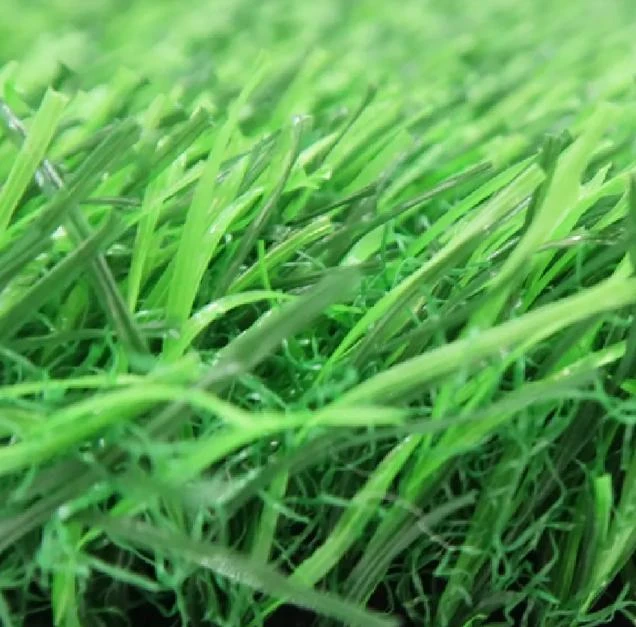 Best Pet Turf for Dogs: Safe & Durable Artificial Grass Options