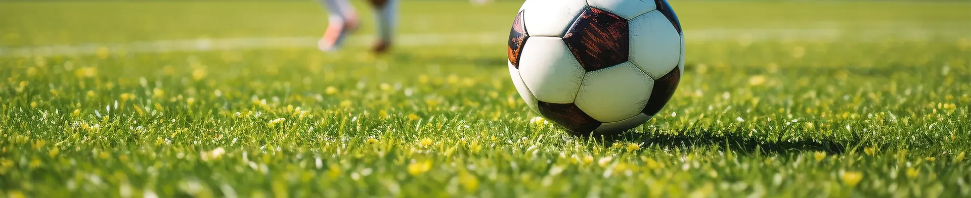 Cost of Artificial Turf per Square Metre Explained in Detail