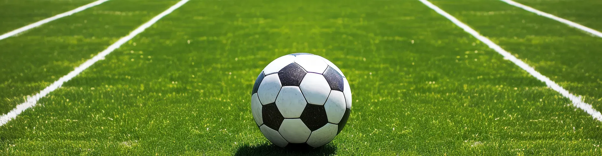 Read More About indoor artificial grass carpet