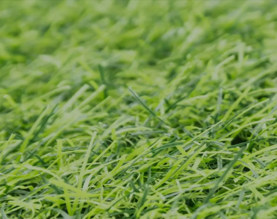 antimicrobial pet turf