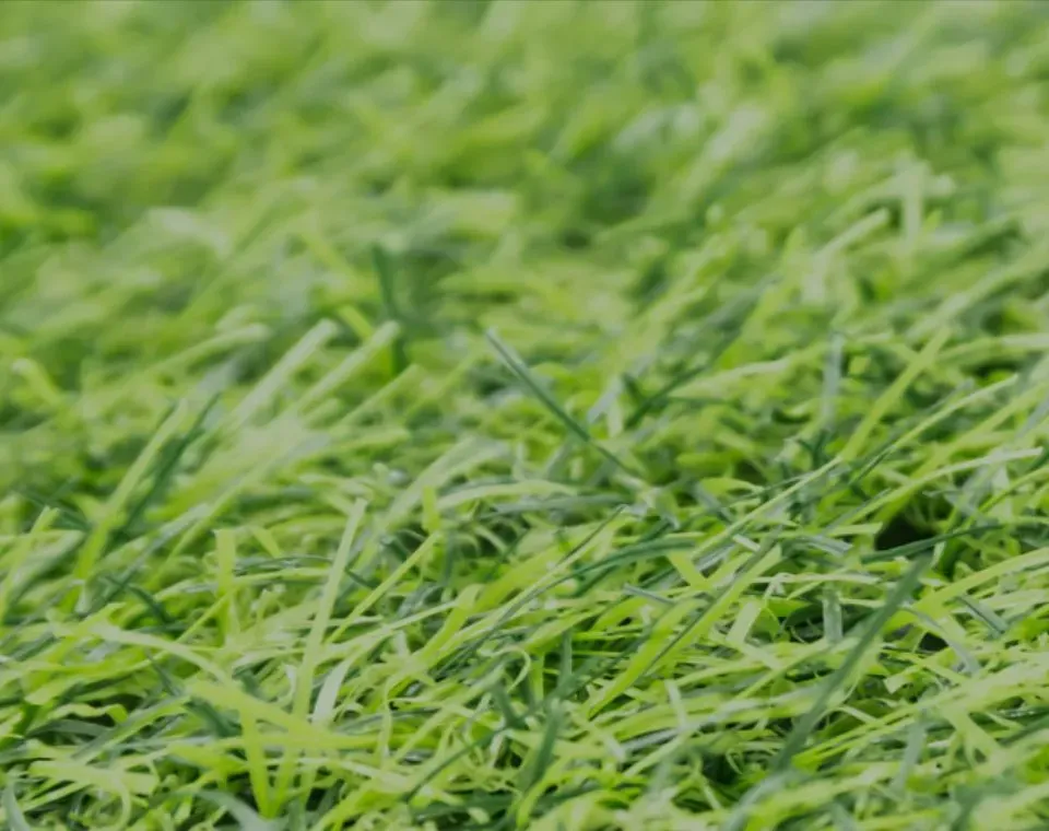 artificial grass for planters