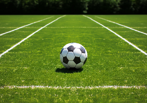 Versatile Indoor Turf Mats for All Your Sports and Fitness Needs Versatile Indoor Turf Mats for All Your Sports and Fitness Needs