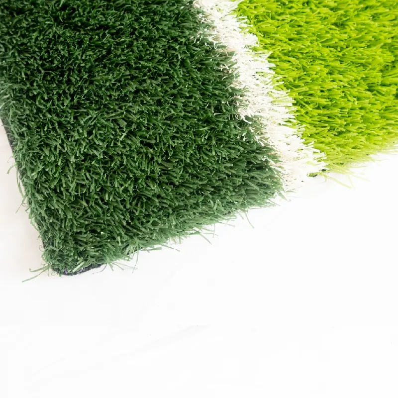 Creating a Comfortable Turf Area for Dogs to Play and Relax