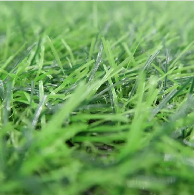 The Benefits and Durability of Artificial Grass Pet Friendly