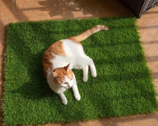 Enjoy Hassle-Free Lawns Using Dog Friendly Artificial Grass