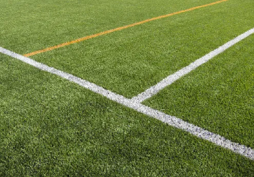 Affordable Artificial Grass Carpet Solutions for Your Backyard Transformation