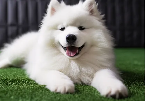 artificial green grass carpet price