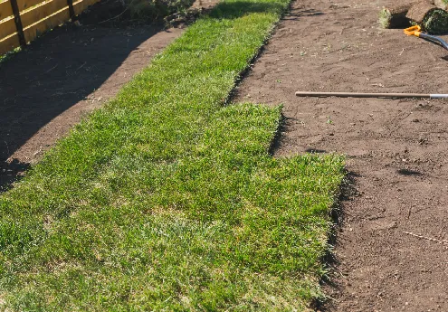 dog pee pee fake grass