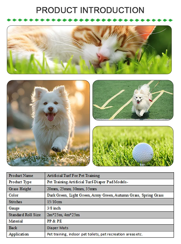 Exploring Turf Interactions with Dogs in Outdoor Environments