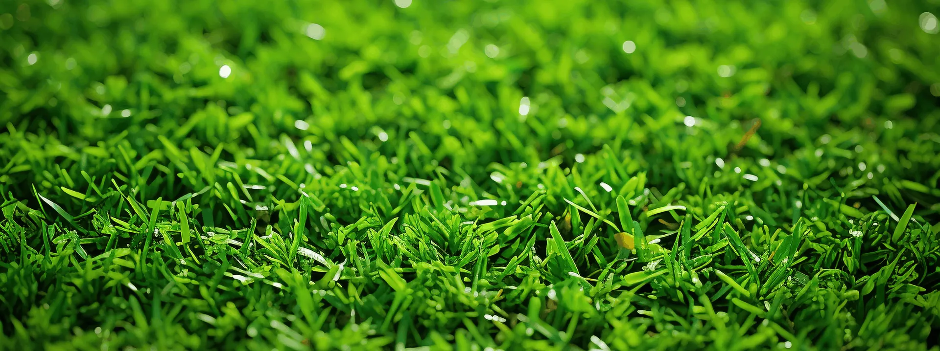 green wall artificial grass