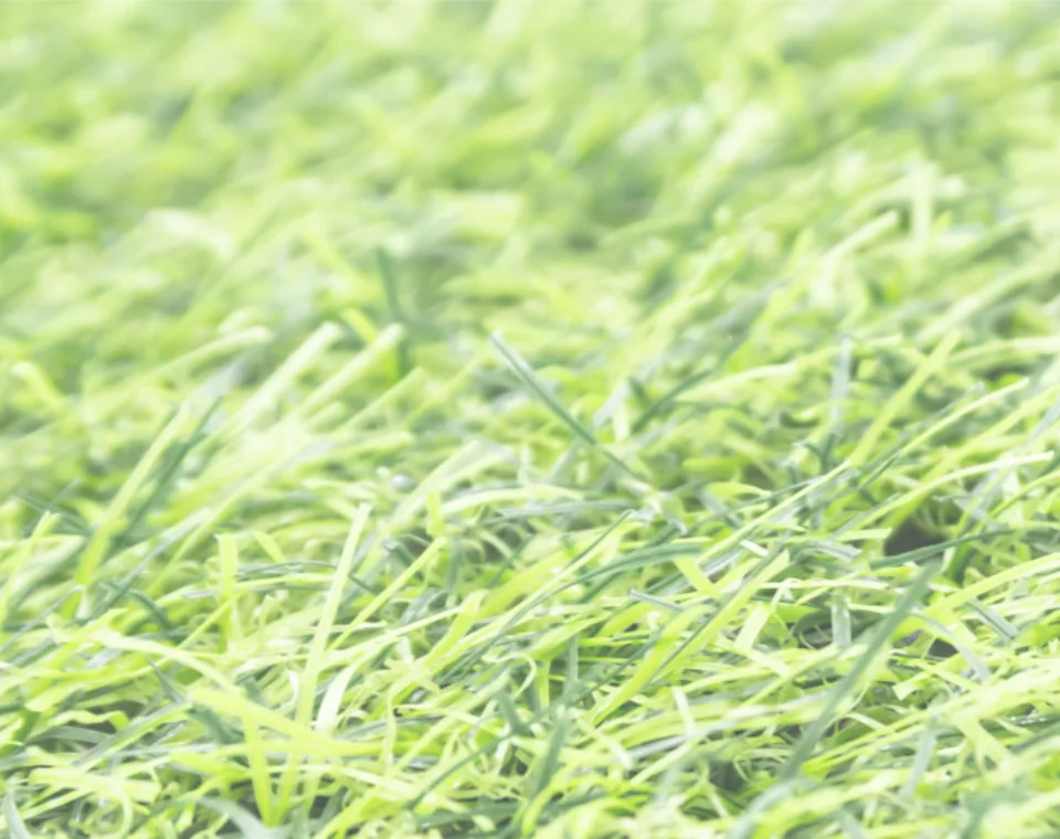 large roll artificial grass