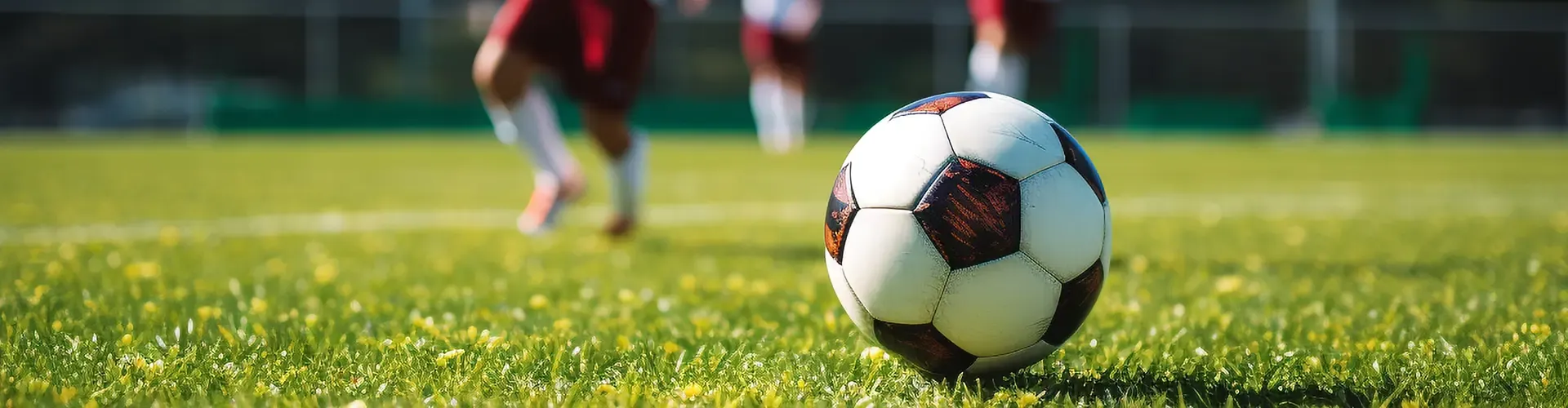 Read More About indoor turf for sale