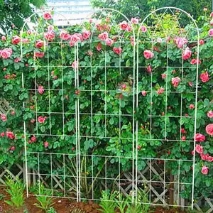 Plant Supports: Enhancing Growth and Stability