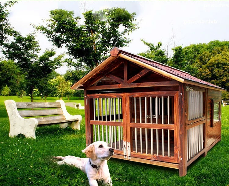 Find the Perfect Pet Enclosure