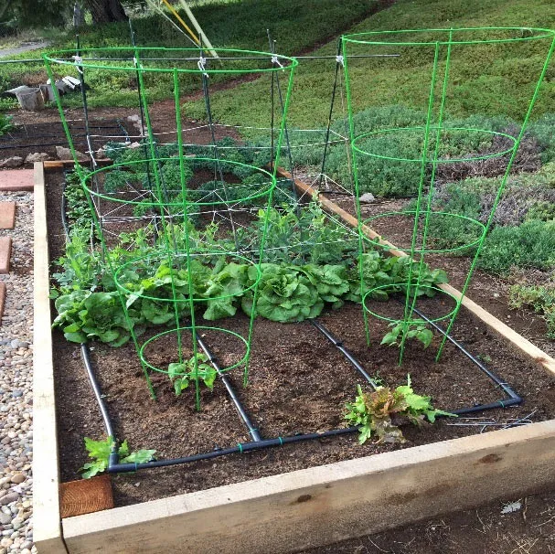 Garden Plant Support Climbing Plants Conical Trellis Supporter Frame