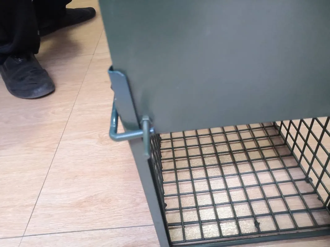 Large Dog Mouse Rat Cat Hot Sale Wire Possum Cage Wild Animal Trap Pig Humane Release Mesh