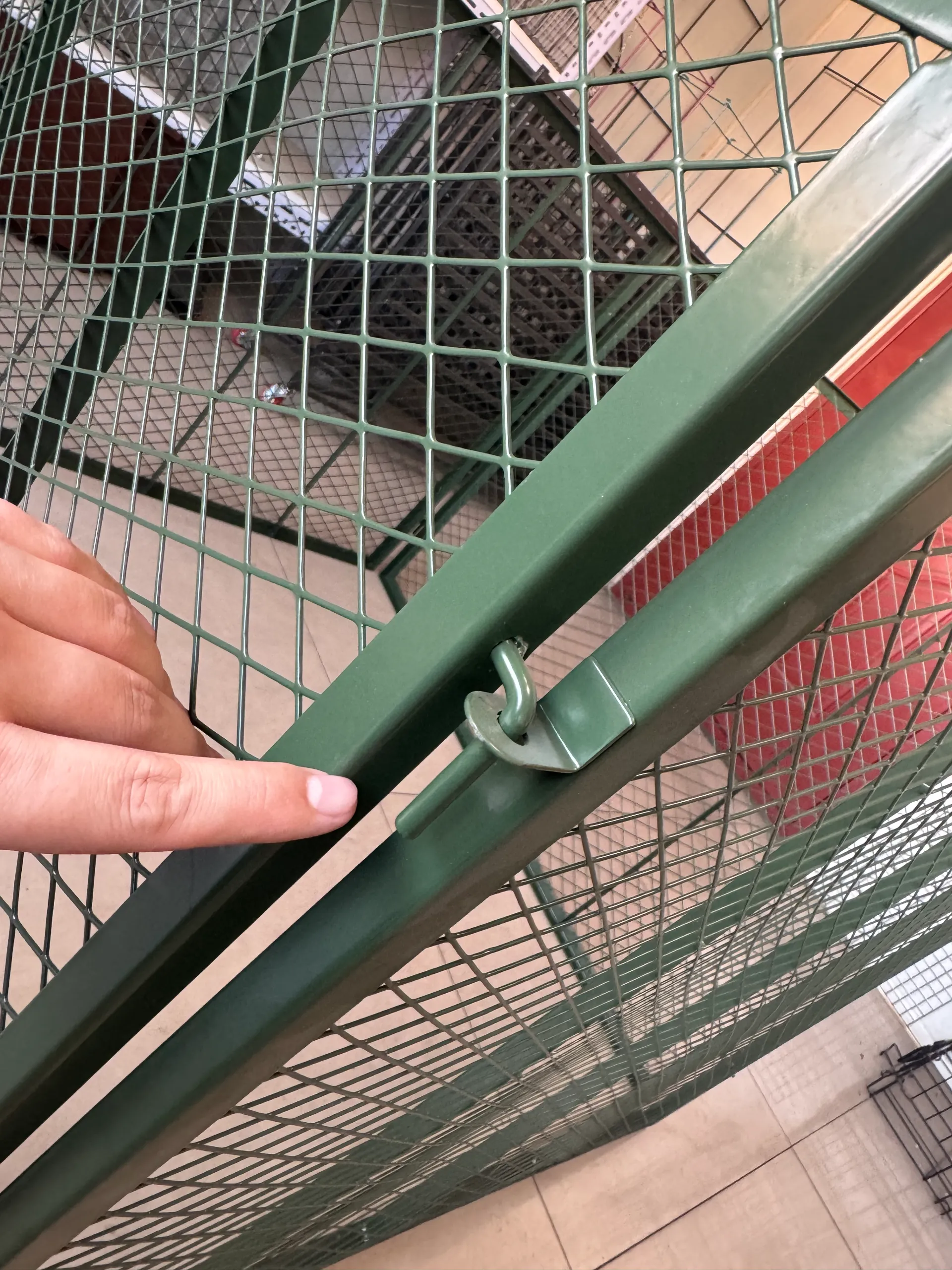 Read More About garden plant support stakes