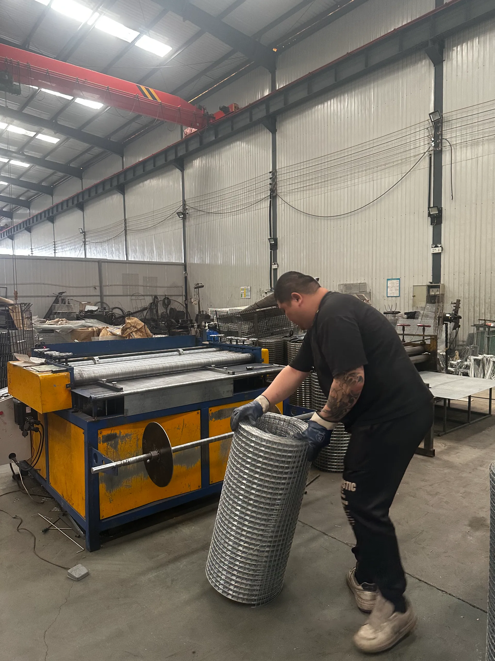 Folded Humane Large Live Animal Cage Traps Possum Trap