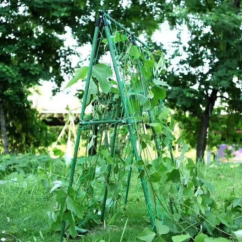 Metal Tall Plant Supports for Durability​