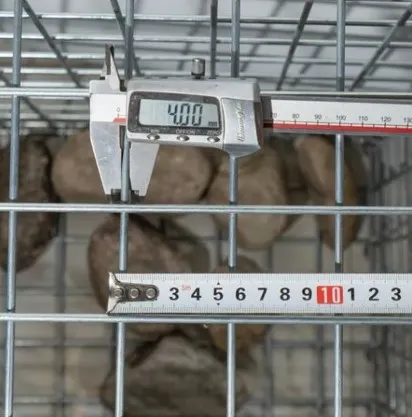 Read More About building a compost bin with chicken wire