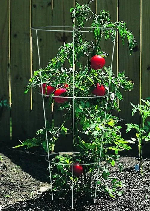 Garden Plant Support Climbing Plants Conical Trellis Supporter Frame