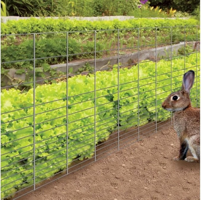 Premium PVC Coated Wire Mesh for Sale | Durable & Weatherproof