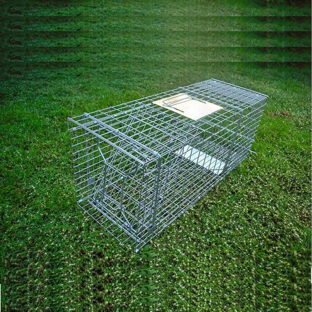 Folded Humane Large Live Animal Cage Traps Possum Trap