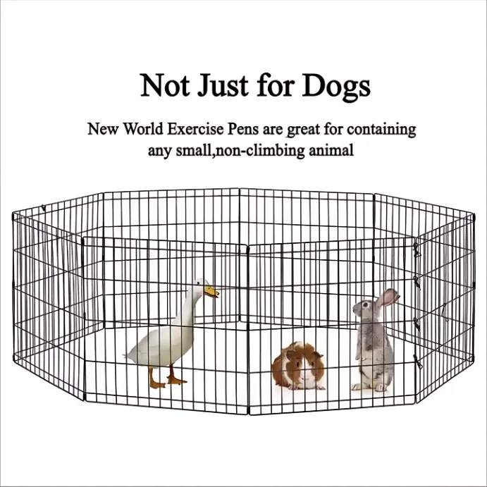 dog crates for sale