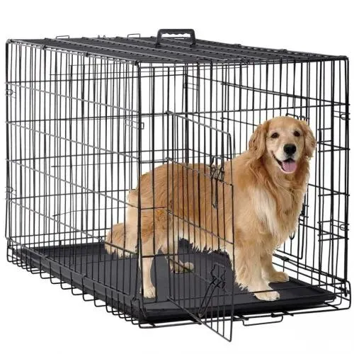Large Dog Crates for Sale - Need Heavy-Duty, Foldable Options