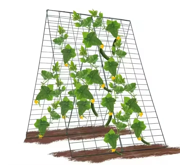 Garden Plant Climbing Grid Trellis Long Bean Cucumber Trellis