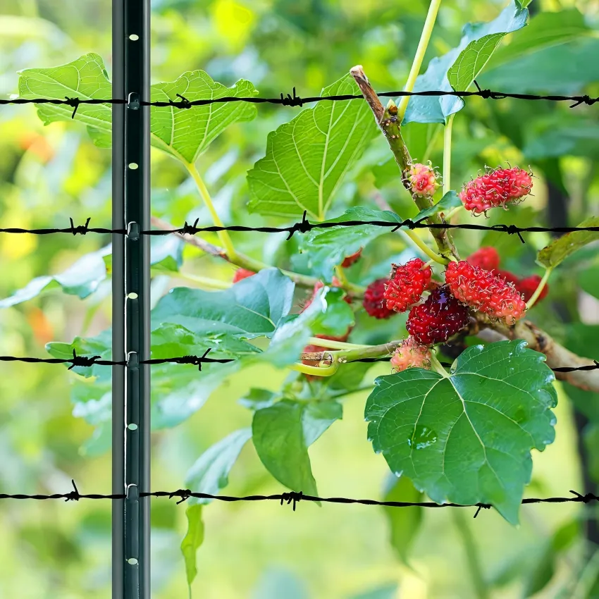 Hot Sale U-Shape Garden Wire Fence Post | Durable Outdoor Support